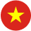icon vn
